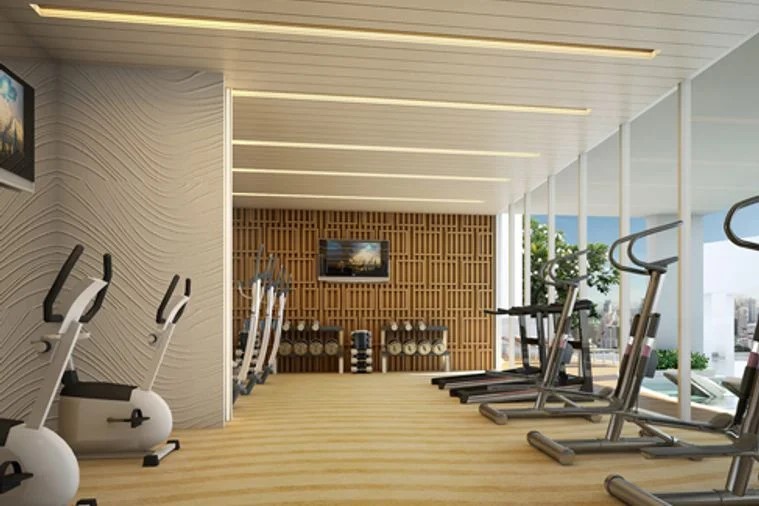 Fitness & Gym