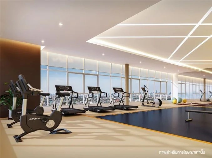 Fitness & Gym