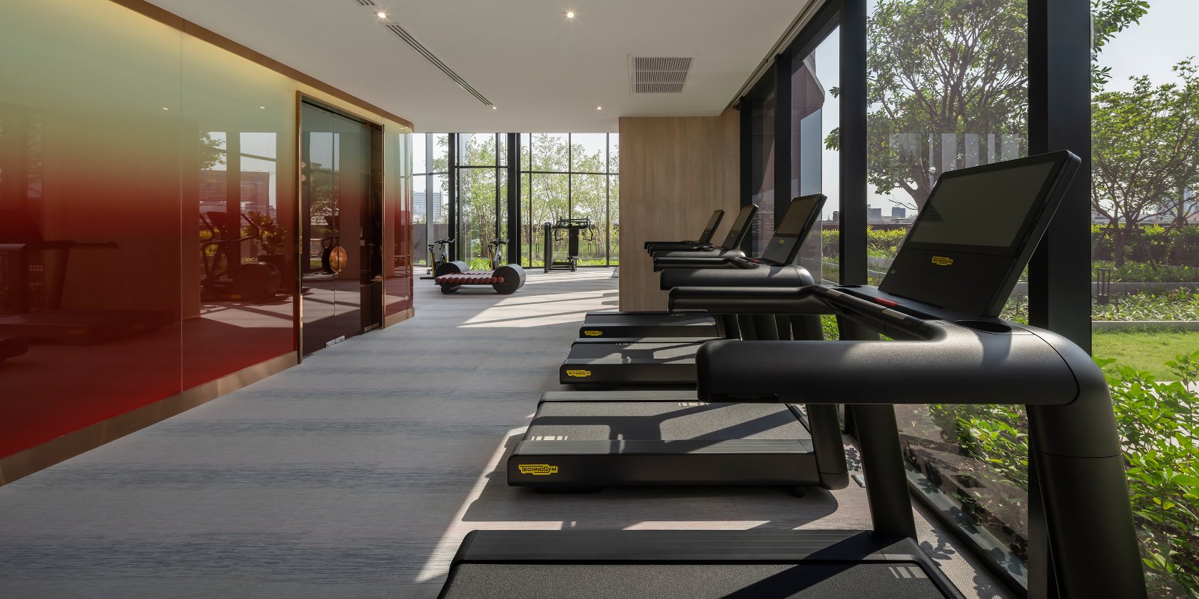 Fitness & Gym