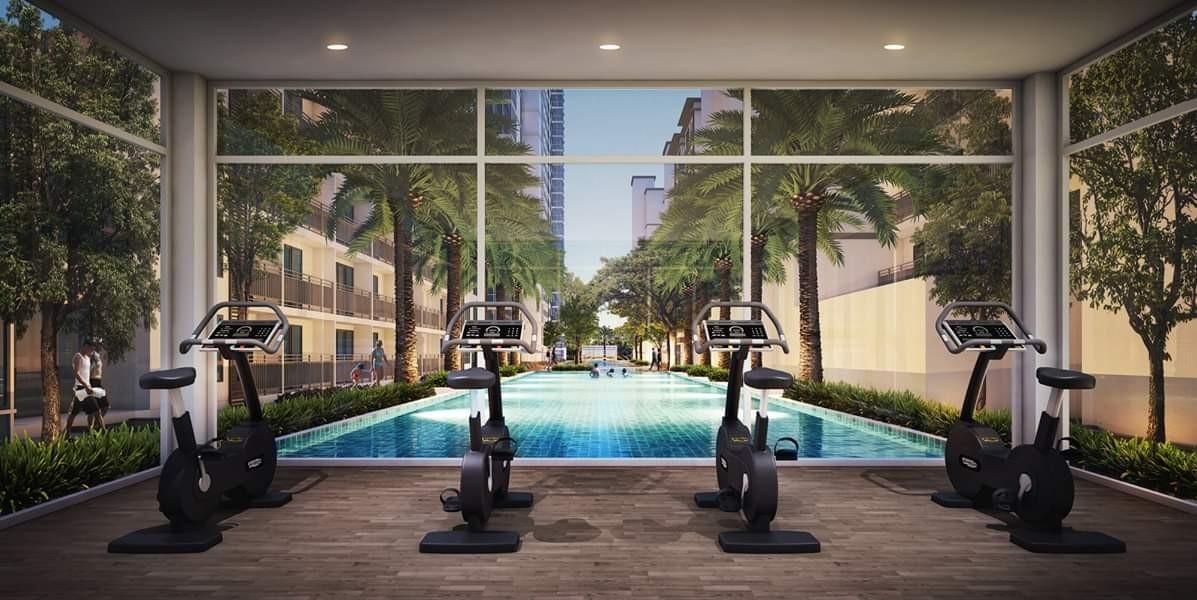 Fitness & Gym