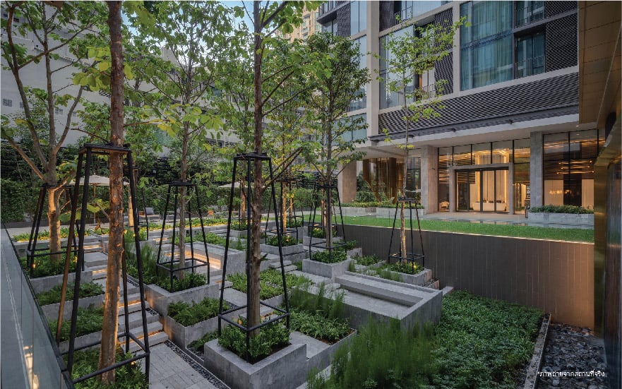 Garden