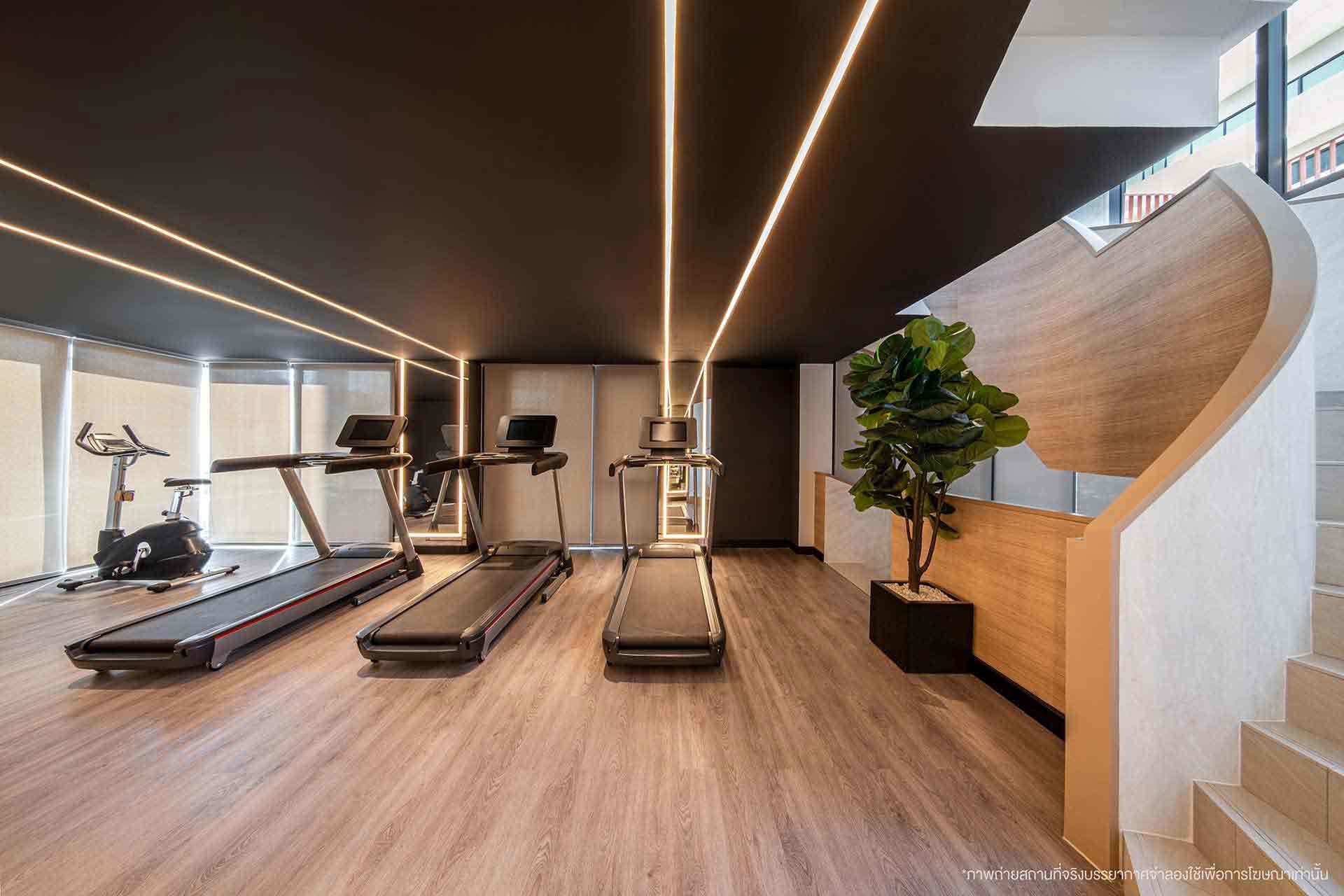 Fitness & Gym