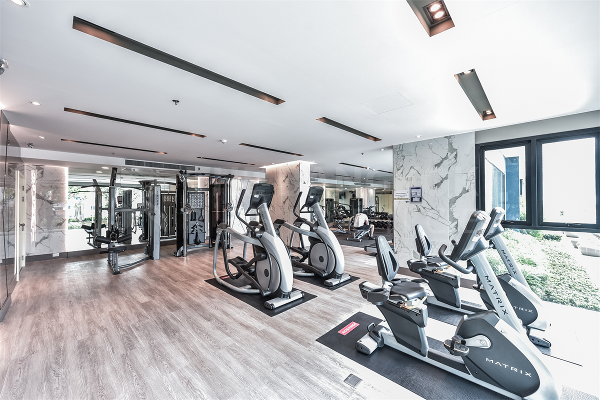 Fitness & Gym