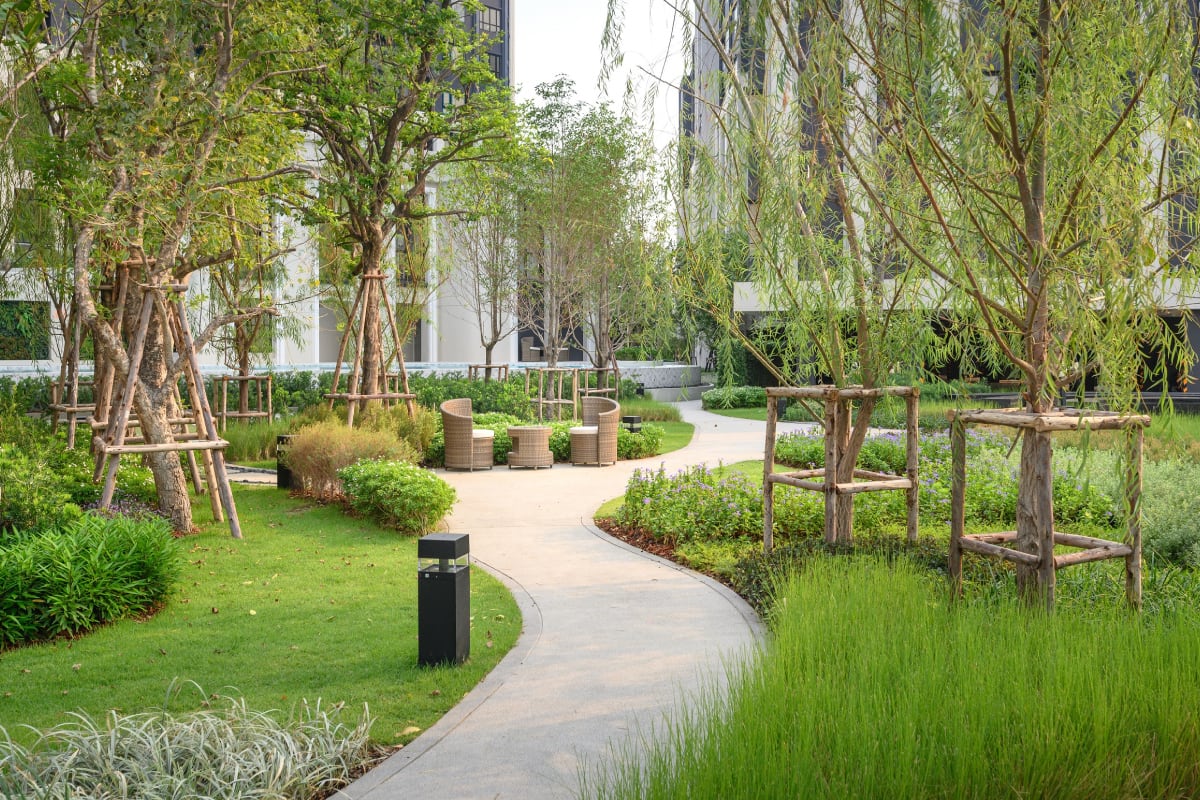 Garden