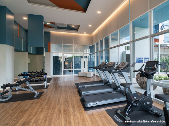 Fitness & Gym