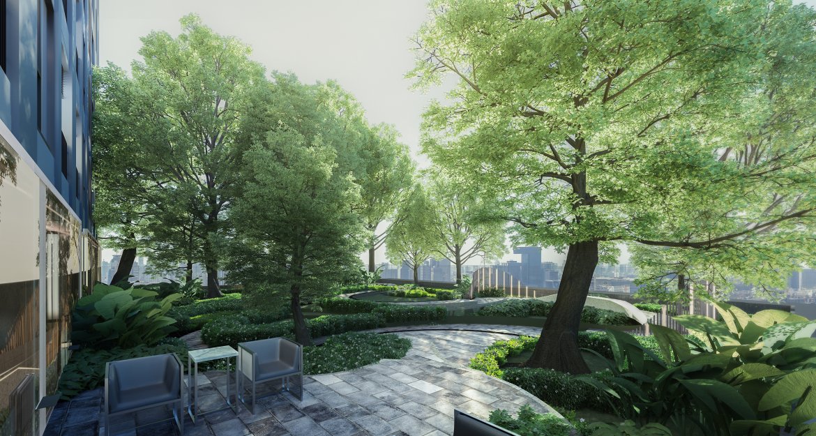 Garden
