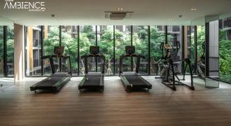Fitness Area