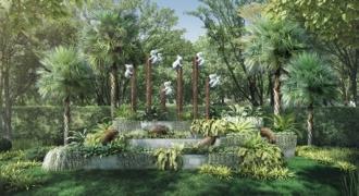 Oasis