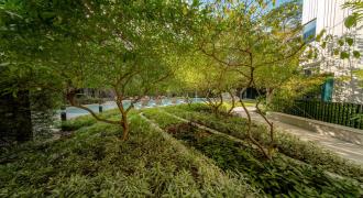 Communal Garden Area
