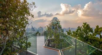 The Vista Deck