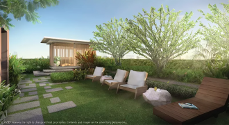 Rooftop Garden