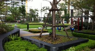 Children Play