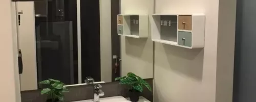 duplex