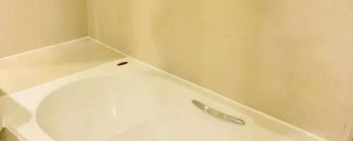 toilet 2