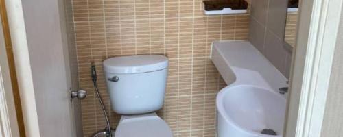 toilet 2