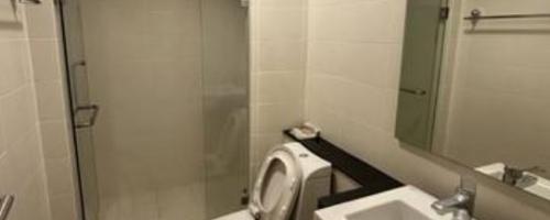 toilet